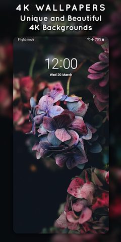 Screenshot 4: 4K Wallpapers - Auto Changer