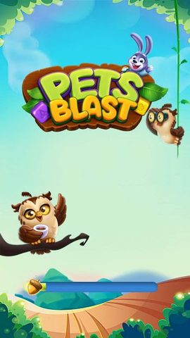 Screenshot 8: Pet Blast 2021