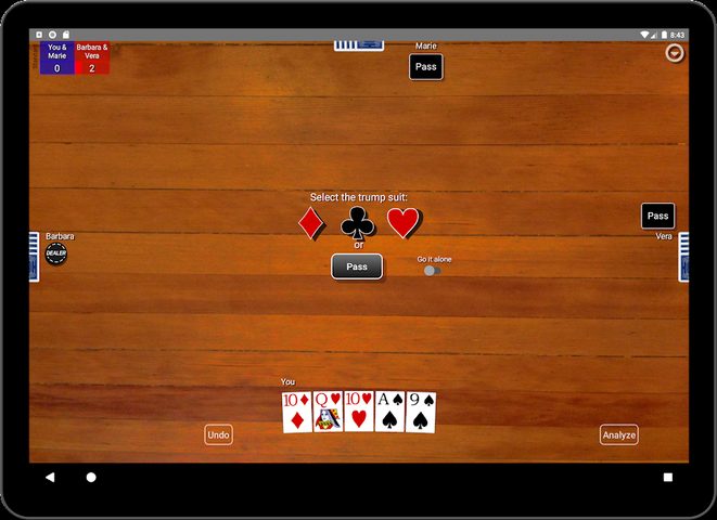 Screenshot 11: Euchre Card Classic