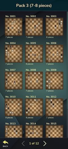 Screenshot 3: Chess Riddles Deluxe