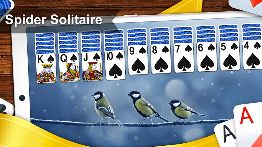 Screenshot 10: Spider Solitaire