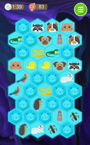 Screenshot 11: Find Pair. Super Memory