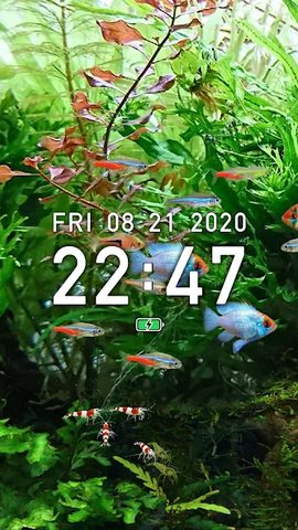 Screenshot 8: Tropical Fish Tank - Mini Aqua