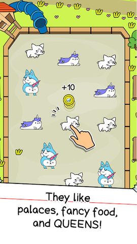 Screenshot 14: Corgi Evolution: Shiba Dogs