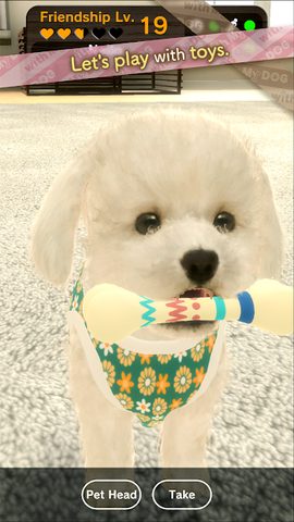 Screenshot 6: with My DOG