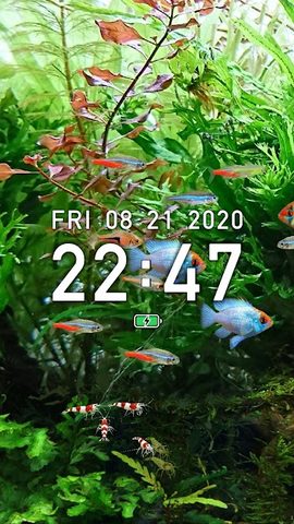 Screenshot 4: Tropical Fish Tank - Mini Aqua