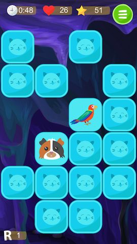 Screenshot 24: Find Pair. Super Memory