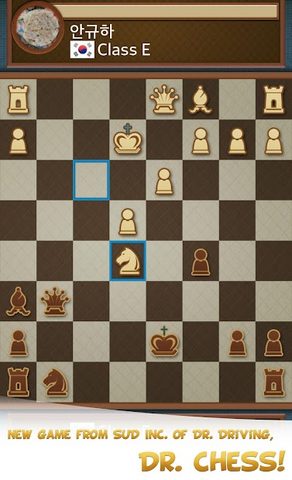 Screenshot 2: Dr. Chess