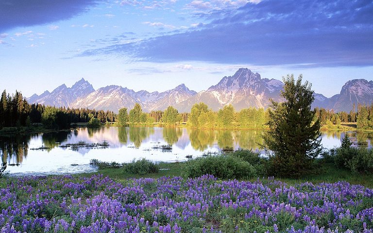 Screenshot 7: Landscape Jigsaw puzzles 4In 1