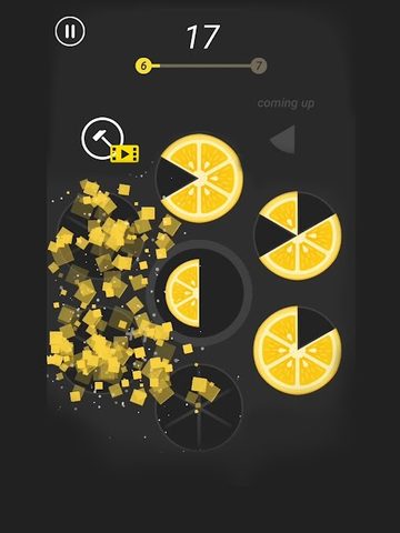 Screenshot 9: Slices