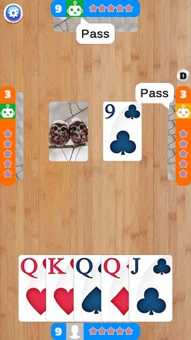 Screenshot 14: Euchre