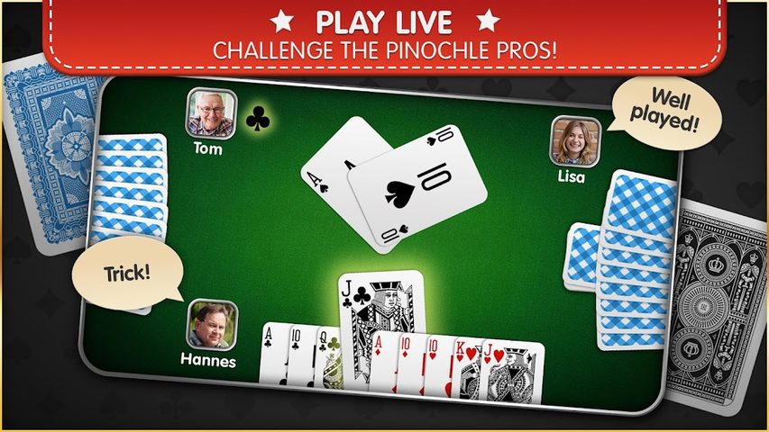 Screenshot 1: Pinochle