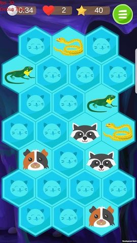 Screenshot 4: Find Pair. Super Memory