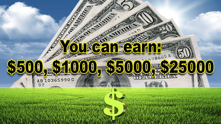 Screenshot 20: Cheerful Bird. Real Money.