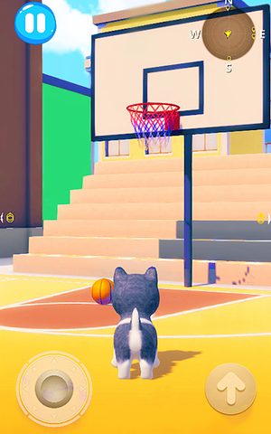 Screenshot 21: Talking Husky Dog