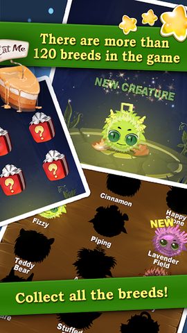 Screenshot 5: Kuri Pets