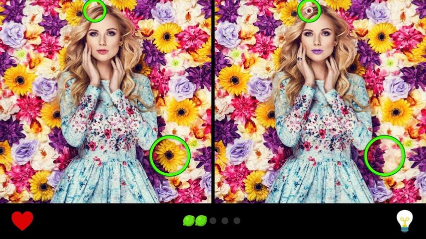 Screenshot 22: Find the Difference 1000+ levels
