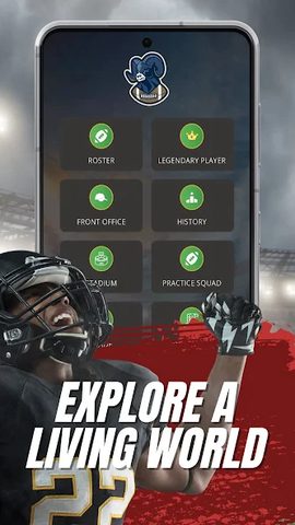 Screenshot 22: Astonishing Football Manager