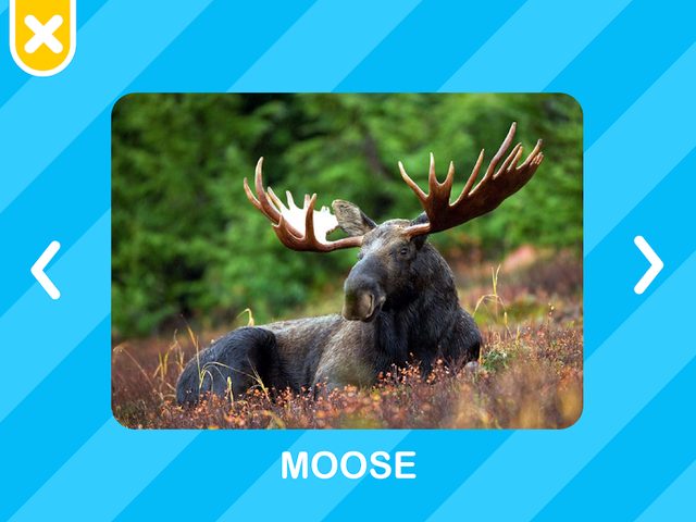 Screenshot 15: Flashcards Toddler Games for 2 and 3 Year Olds
