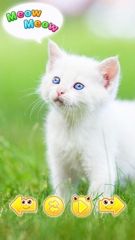 Screenshot 1: Cute animal pictures & animal