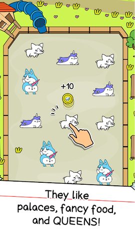 Screenshot 2: Corgi Evolution: Shiba Dogs