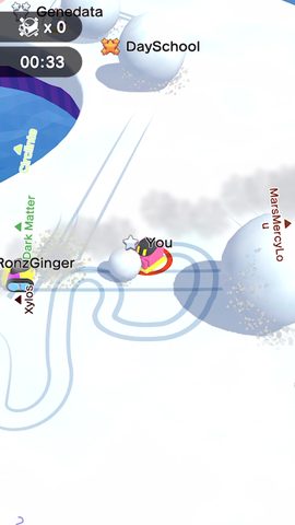 Screenshot 4: Snowball.io
