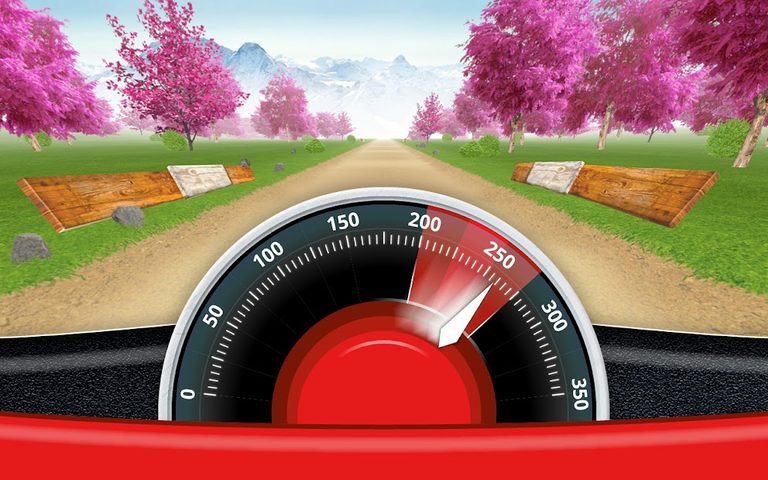 Screenshot 9: CRAZY DRIVER