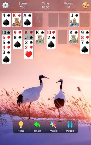 Screenshot 21: FreeCell Solitaire