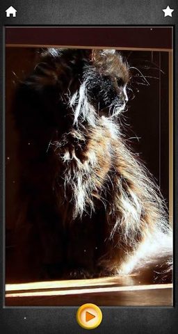 Screenshot 2: Purring cats therapy - jigsaw puzzle