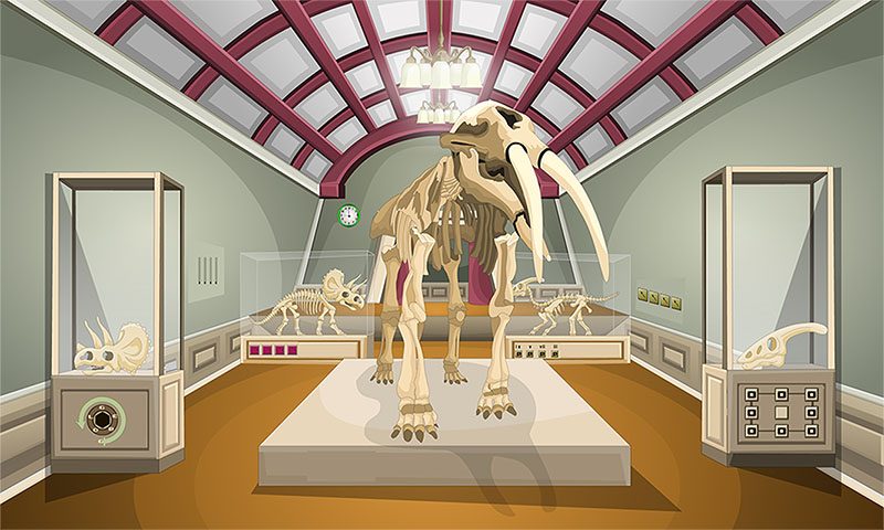 Screenshot 14: Room Escape - Can You Escape this 1000 Doors