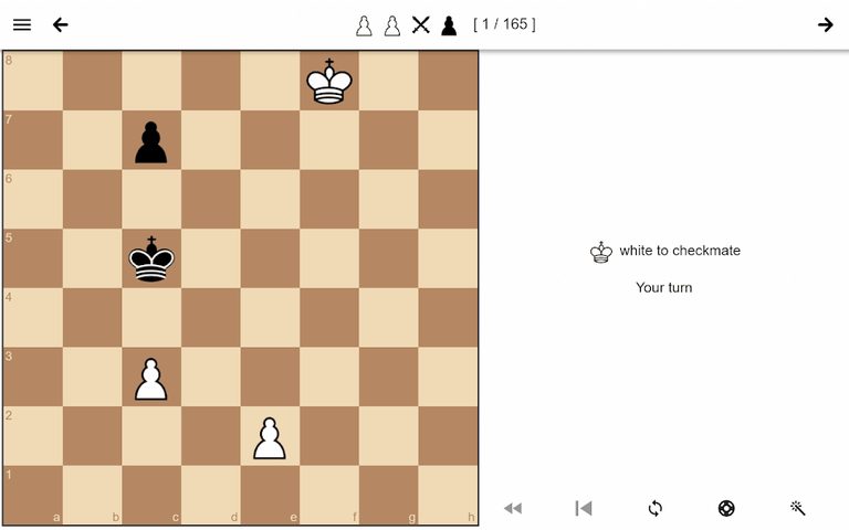 Screenshot 21: Chess Endgame Training