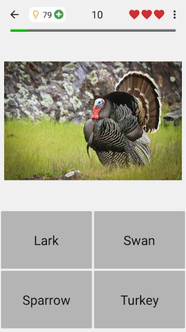 Screenshot 14: Animals Quiz - Learn All Mammals and Dinosaurs!