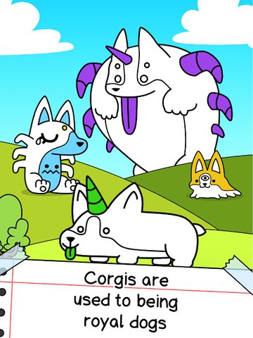 Screenshot 5: Corgi Evolution: Shiba Dogs