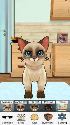 Screenshot 8: Macho Cat
