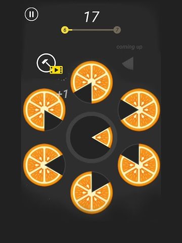 Screenshot 7: Slices