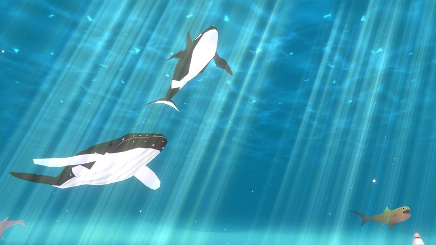 Screenshot 11: HELLO WHALE : IDLE AQUARIUM