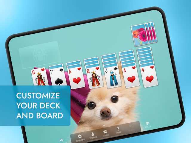 Screenshot 15: Spider Solitaire