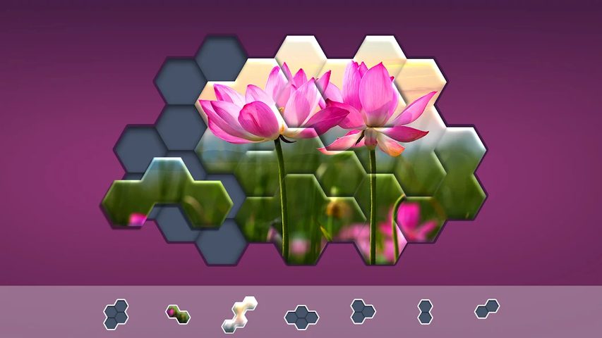 Screenshot 22: Hexa Jigsaw Puzzle ®