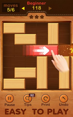 Screenshot 11: Unblock Puzzle