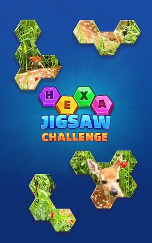 Screenshot 5: Hexa Jigsaw Challenge