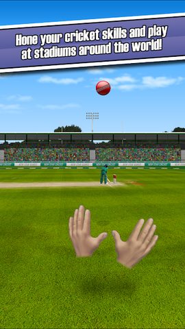 Screenshot 4: New Star Cricket