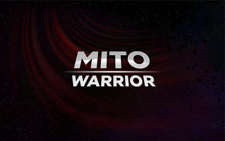 Screenshot 1: Mito Warrior