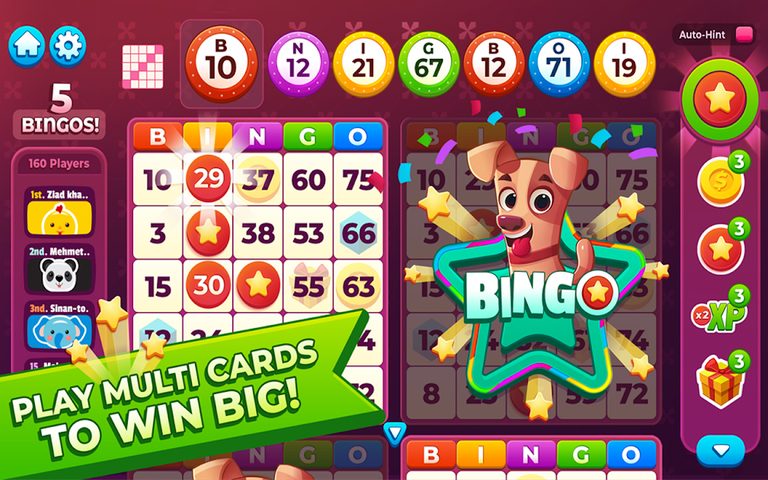 Screenshot 17: Bingo My Home
