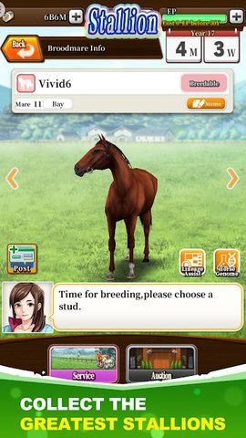 Screenshot 15: Derby Stallion: Masters