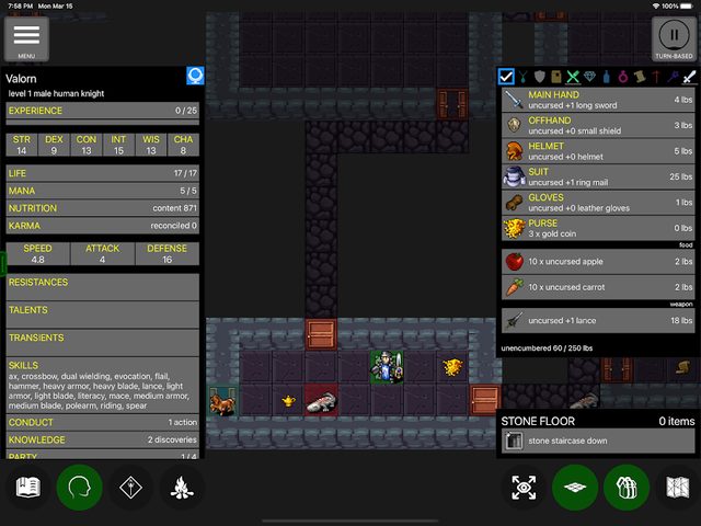 Screenshot 10: Pathos: Nethack Codex