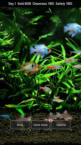 Screenshot 1: Tropical Fish Tank - Mini Aqua