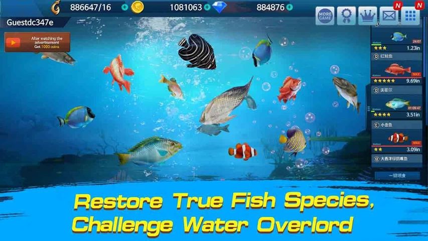 Screenshot 2: Fishing Championship