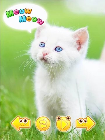 Screenshot 21: Cute animal pictures & animal