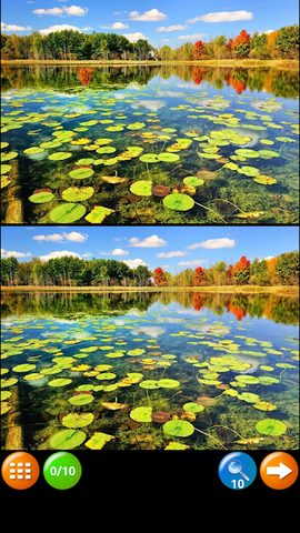 Screenshot 4: Find Differences 200 levels 2