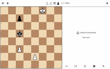 Screenshot 9: Chess Endgame Training